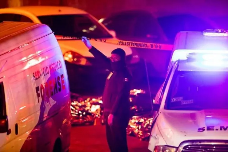 WhatsApp Image 2023-03-28 at 2.46.03 PM