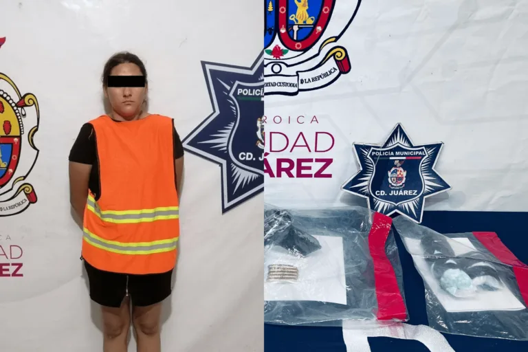 My project-3 (6) (1)