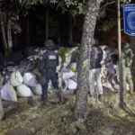 WhatsApp Image 2025-02-26 at 12.18.17