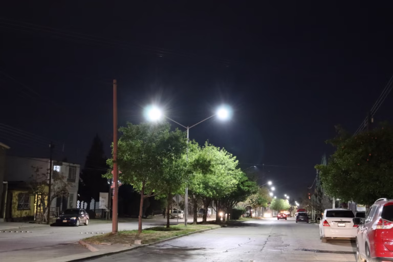 Imagen de WhatsApp 2025-03-10 a las 09.41.10_256b2f25