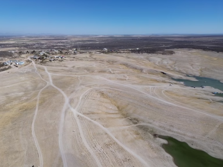 WhatsApp Image 2025-03-06 at 13.16.44