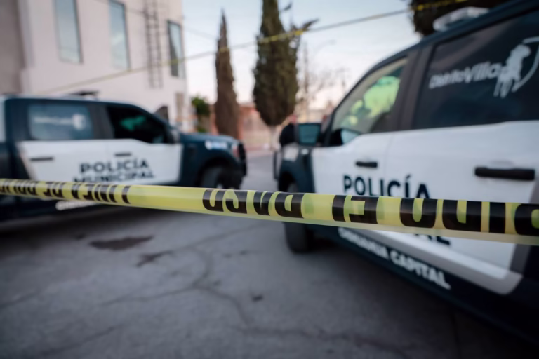 WhatsApp Image 2025-03-14 at 9.35.44 AM