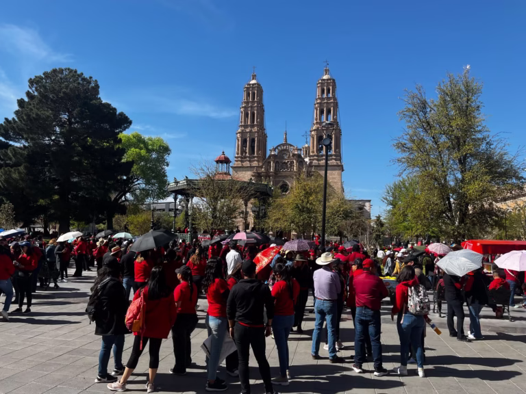 WhatsApp Image 2025-03-19 at 11.33.35 AM