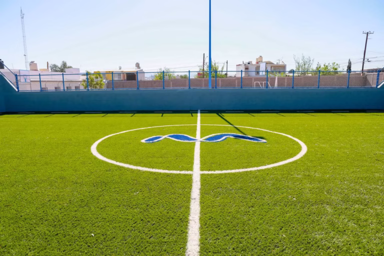 WhatsApp Image 2025-03-31 at 2.36.17 PM (1)