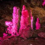 1889c2d3-d748-47cf-96c5-36570098dbf1