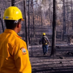 Imagen de WhatsApp 2025-04-02 a las 10.54.53_35a0fafc