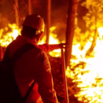 Imagen de WhatsApp 2025-04-25 a las 15.28.39_b2e1c2c9