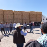 WhatsApp Image 2025-04-06 at 11.41.06 (1)