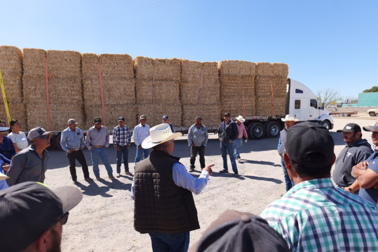 WhatsApp Image 2025-04-06 at 11.41.06 (1)