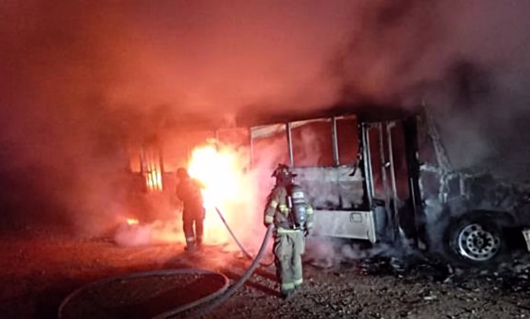 WhatsApp Image 2025-04-07 at 11.52.59 AM