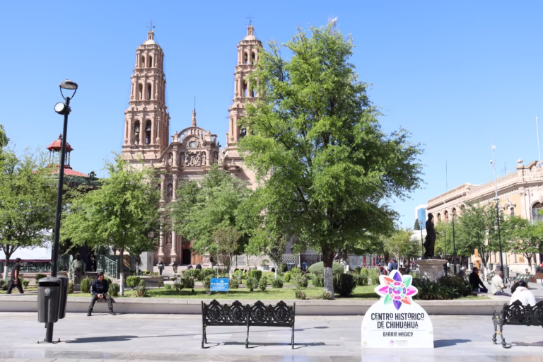 WhatsApp Image 2025-04-09 at 11.01.54 AM