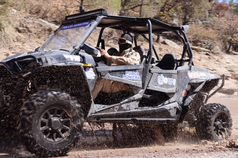 WhatsApp Image 2025-04-11 at 11.26.45 AM