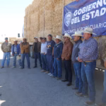 WhatsApp Image 2025-04-16 at 12.35.15