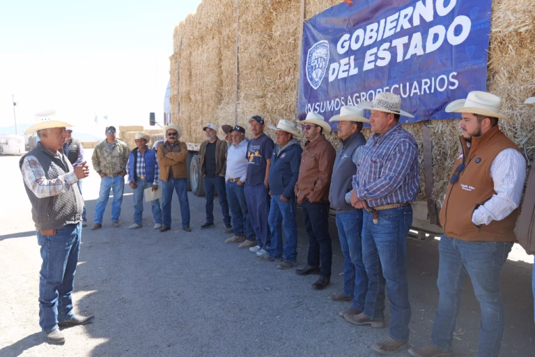 WhatsApp Image 2025-04-16 at 12.35.15