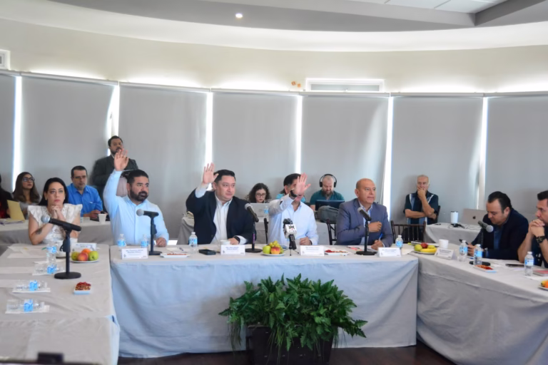 WhatsApp Image 2025-04-25 at 14.23.32