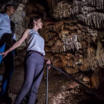 c4d1a92d-d5d0-4217-a60f-33069ee08a92