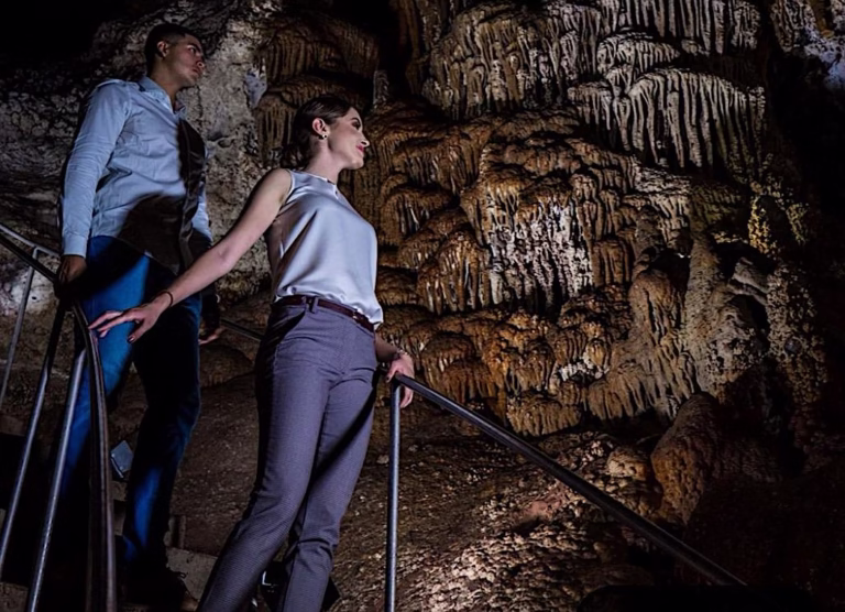 c4d1a92d-d5d0-4217-a60f-33069ee08a92