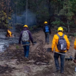 f38048cb-438e-4b73-9644-e8582fe9d6c1