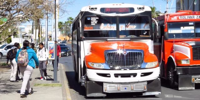 BUS CAMION TRANSPORTE CHIHUAHUA