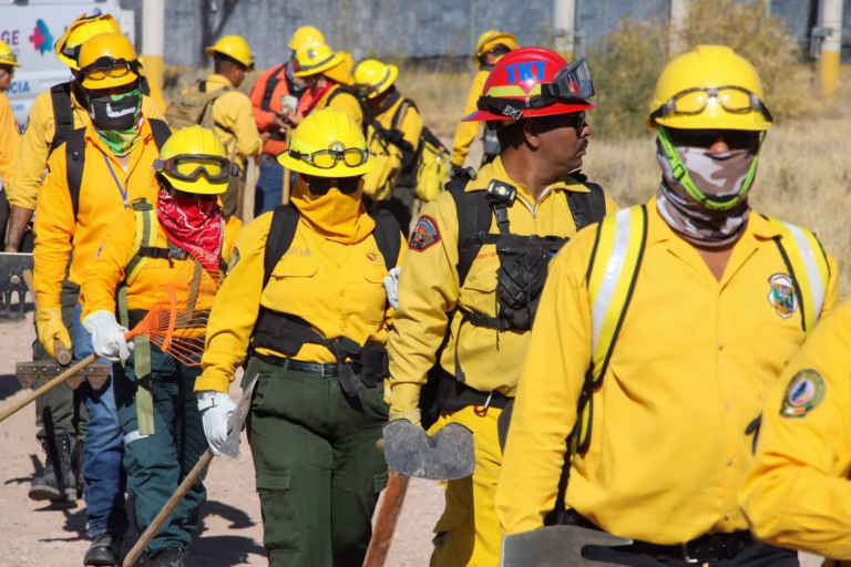 Imagen de WhatsApp 2025-05-05 a las 13.19.24_656c6506