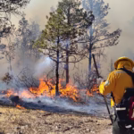 Imagen de WhatsApp 2025-05-06 a las 11.39.37_62bb2a67