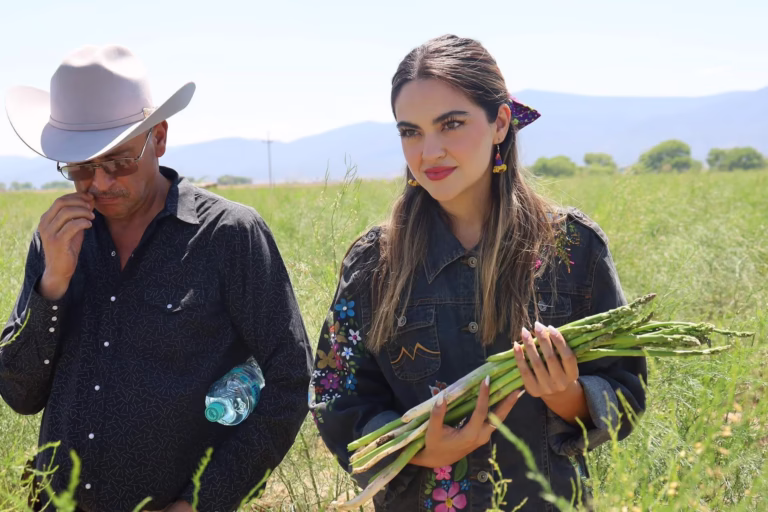 Imagen de WhatsApp 2025-05-11 a las 17.21.45_93964d74