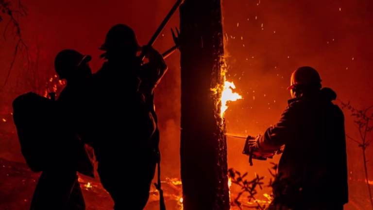 Imagen de WhatsApp 2025-05-19 a las 13.43.20_f844ef8e