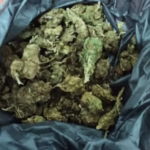 WhatsApp-Image-2022-06-13-at-12.45.40-PM-1024x485