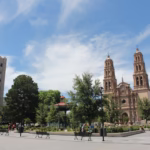 WhatsApp Image 2024-10-13 at 9.20.13 AM