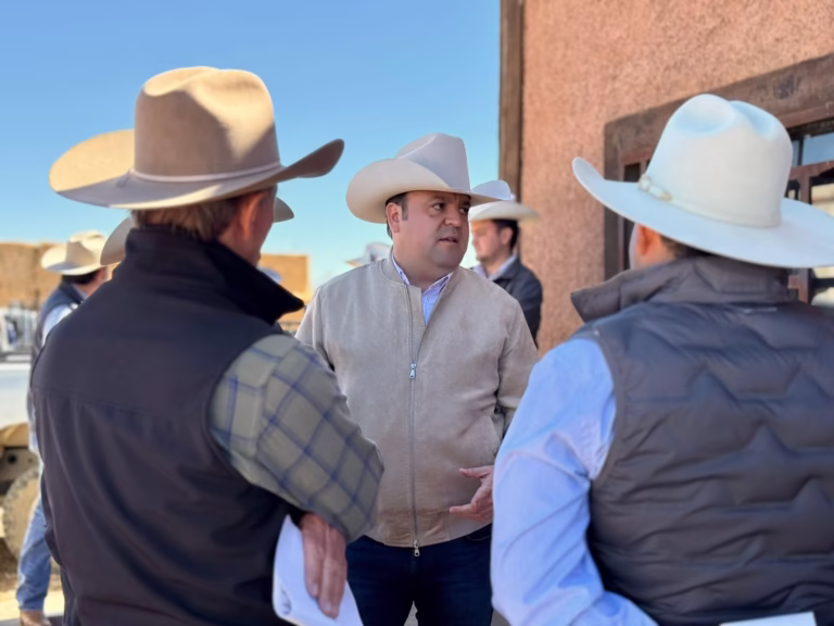 WhatsApp Image 2025-05-11 at 15.08.34