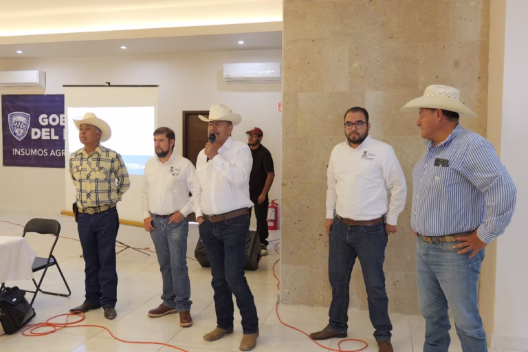 WhatsApp Image 2025-05-13 at 09.43.51