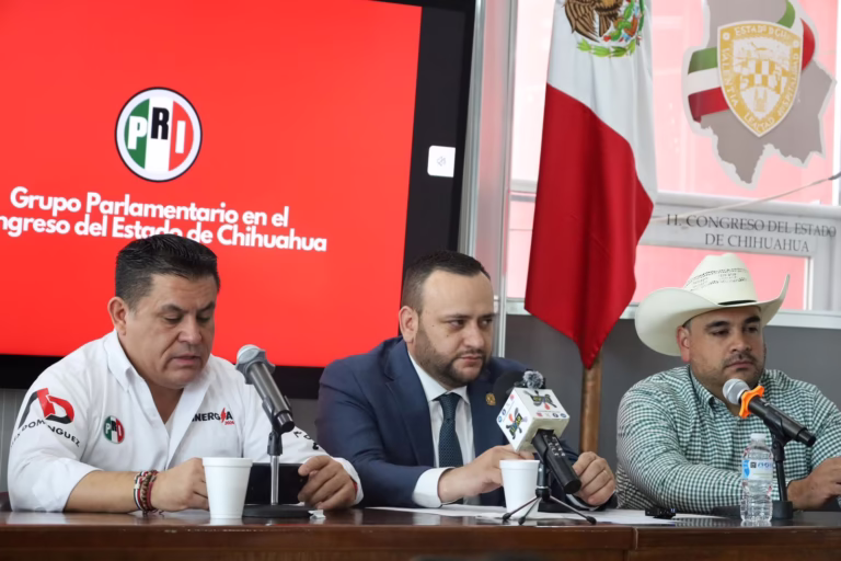 WhatsApp Image 2025-05-13 at 11.07.08