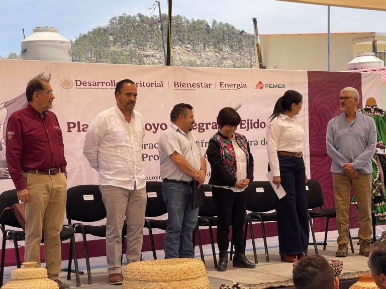 WhatsApp Image 2025-05-13 at 13.17.45