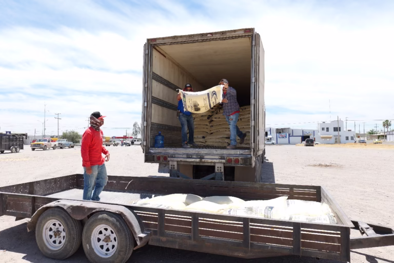 WhatsApp Image 2025-05-16 at 10.47.29