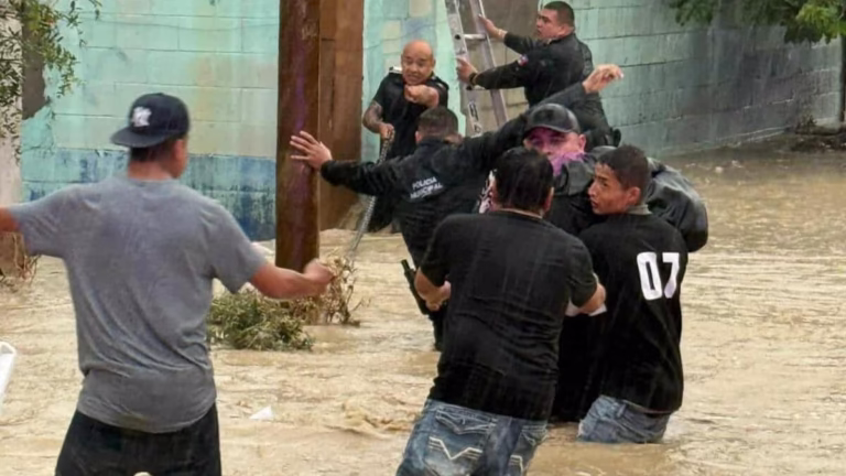 Imagen de WhatsApp 2025-06-26 a las 22.06.46_a4575260