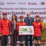 WhatsApp Image 2025-06-26 at 14.53.17