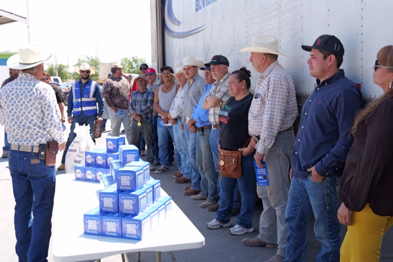 WhatsApp Image 2025-06-27 at 10.15.52