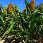 Imagen de WhatsApp 2025-07-03 a las 16.01.01_d6798db6