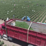 Imagen de WhatsApp 2025-07-21 a las 14.05.35_f55a098d