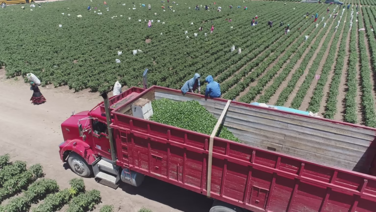 Imagen de WhatsApp 2025-07-21 a las 14.05.35_f55a098d