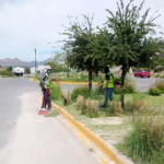 Imagen de WhatsApp 2025-07-23 a las 15.14.43_ea29de83