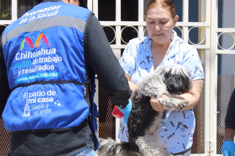 WhatsApp-Image-2025-04-03-at-10.45.13-AM-1024x682