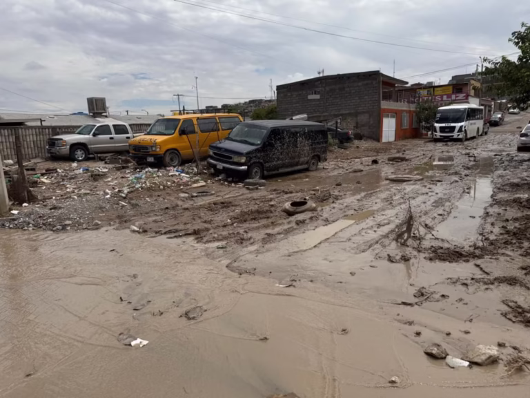 WhatsApp-Image-2025-06-25-at-15.28.01-1024x768