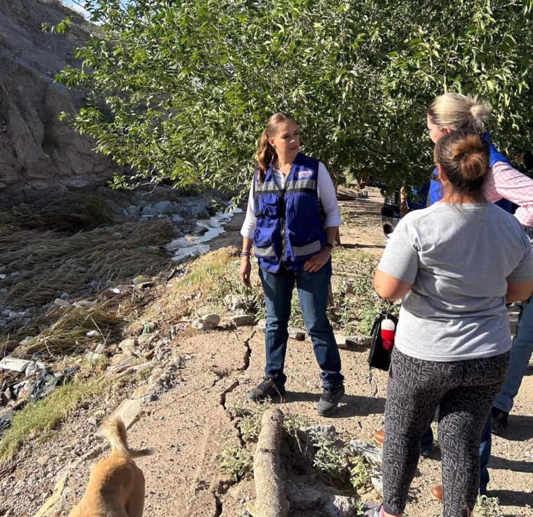 WhatsApp Image 2025-07-07 at 09.16.25