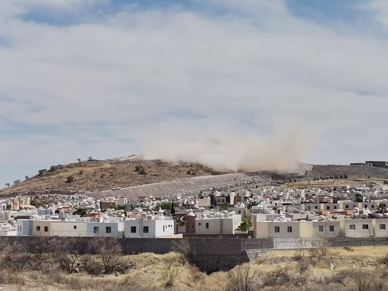 WhatsApp Image 2025-07-11 at 13.03.22