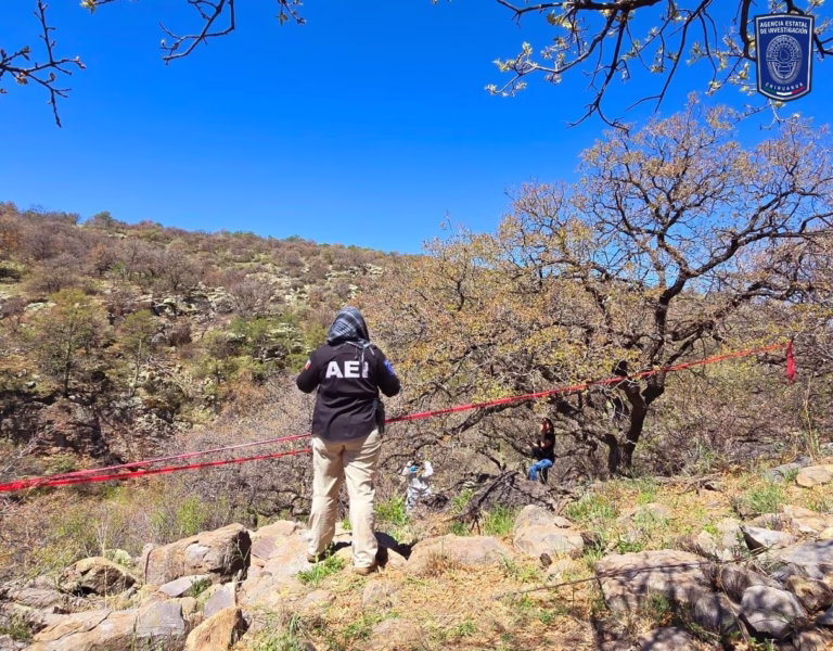 WhatsApp Image 2025-07-11 at 14.29.50