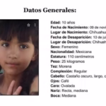 WhatsApp Image 2025-07-11 at 14.44.49