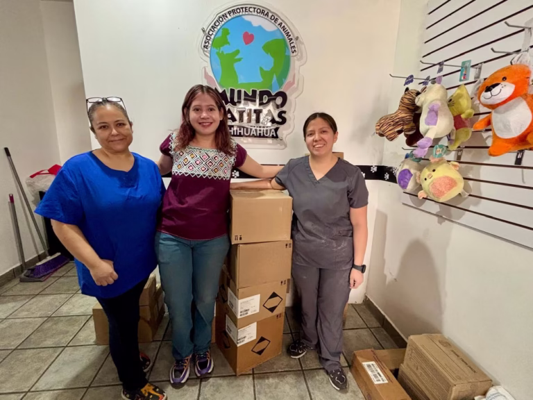 WhatsApp Image 2025-07-14 at 12.10.51