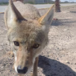 WhatsApp Image 2025-07-17 at 13.01.50