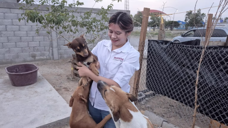 WhatsApp Image 2025-07-21 at 09.08.05